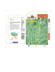 Burpee® Rosemary Seeds