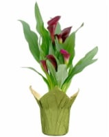 slide 1 of 1, Calla Lily In Wrap, 4 in