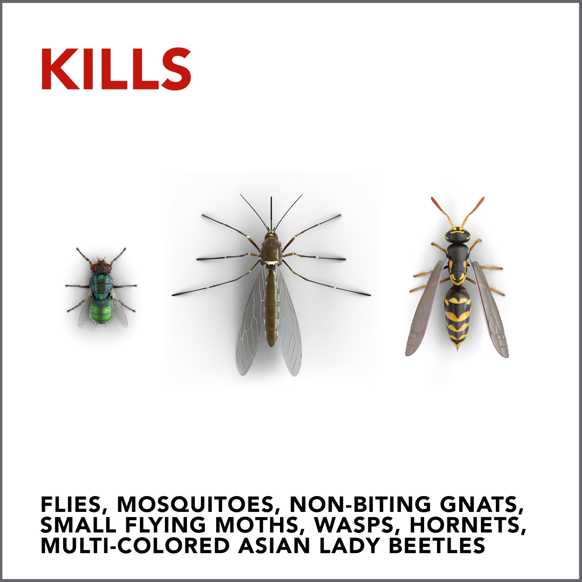 slide 4 of 7, Raid Yard Guard Mosquito Fogger, Mosquito Killer Spray, 900 Square Feet Treatment, 16 oz, 16 oz