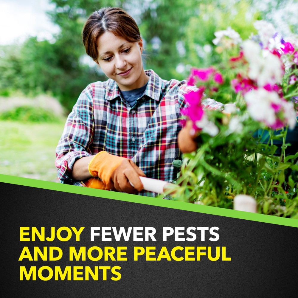 slide 4 of 6, Raid Yard Guard Mosquito Fogger 16 oz, 16 oz