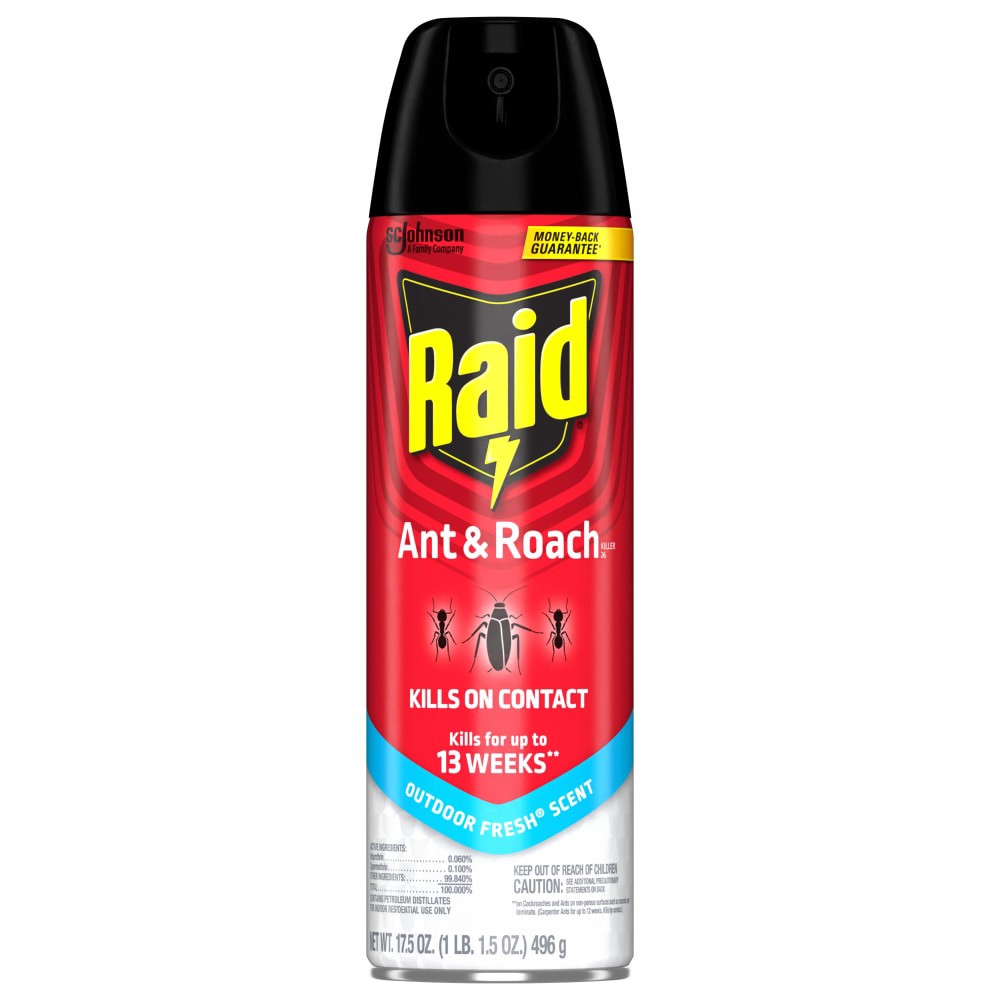slide 4 of 6, Raid Outdoor Fresh Scent Ant & Roach Killer 26 17.5 oz, 17.50 oz