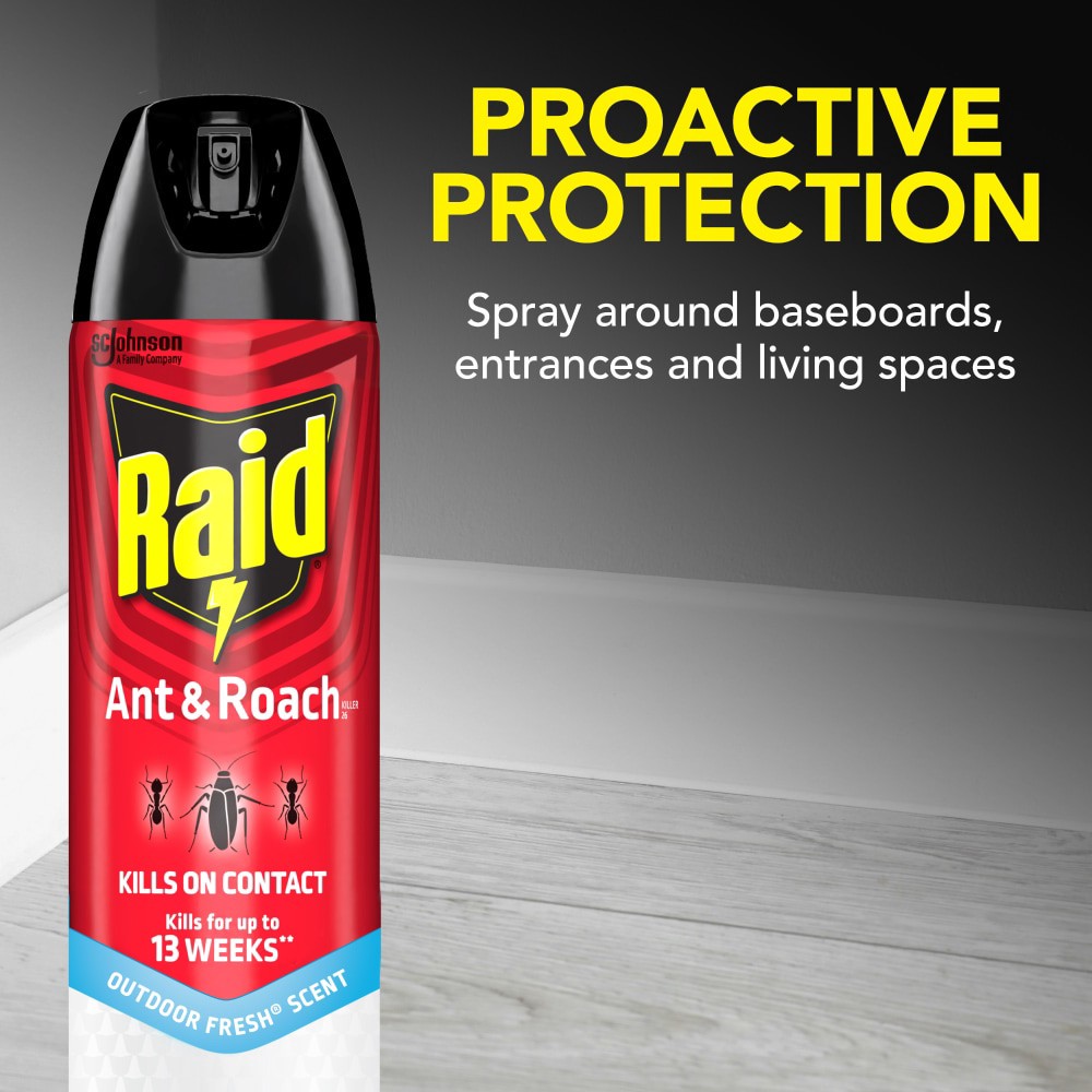slide 3 of 6, Raid Outdoor Fresh Scent Ant & Roach Killer 26 17.5 oz, 17.50 oz