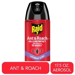 Raid Ant & Roach Killer 26, Indoor and Outdoor Insecticide Spray, Lavender Scent, 17.5 oz