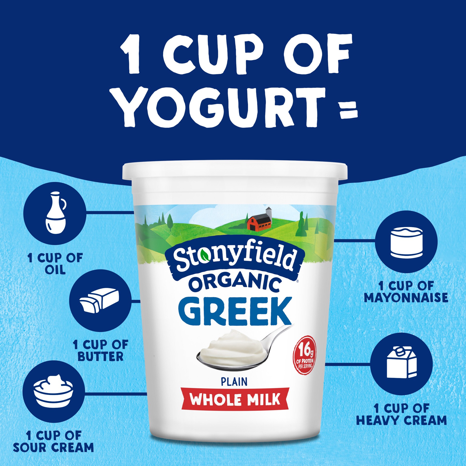 slide 2 of 6, Stonyfield Greek Organic Whole Milk Plain Yogurt 850 g, 30 oz