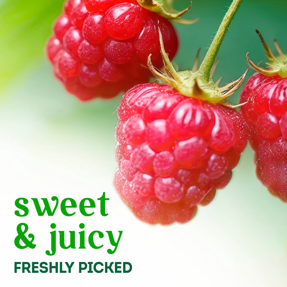 slide 2 of 3, Organic - Berries - Raspberries - Red, 6 oz