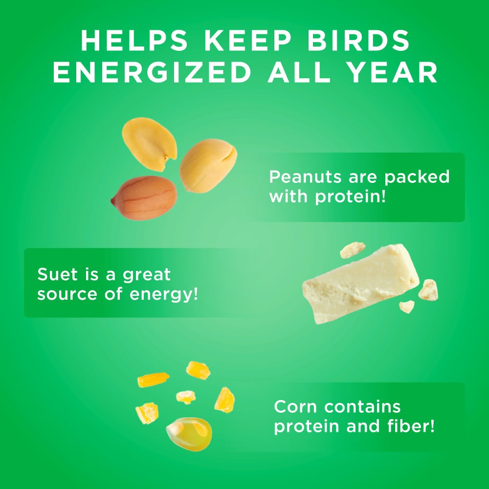 slide 2 of 6, Audubon Park® Nutty Treat Suet Wild Bird Food, 11 oz, 11 oz