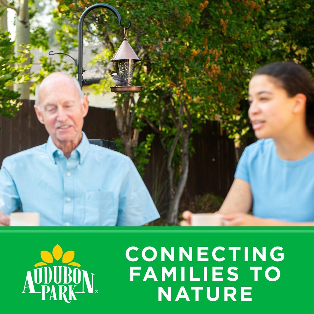 slide 3 of 6, Audubon Park® Nutty Treat Suet Wild Bird Food, 11 oz, 11 oz