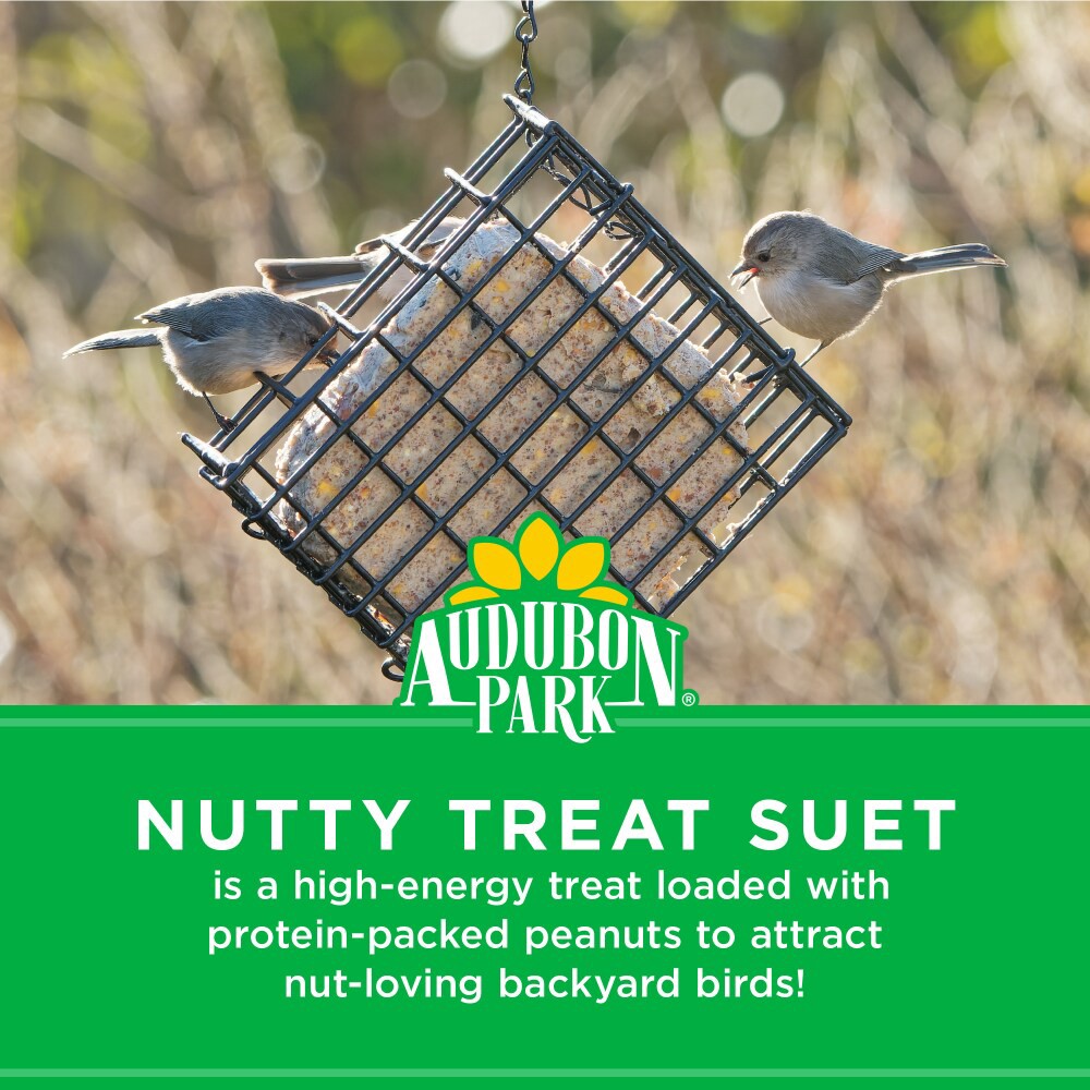 slide 4 of 6, Audubon Park® Nutty Treat Suet Wild Bird Food, 11 oz, 11 oz