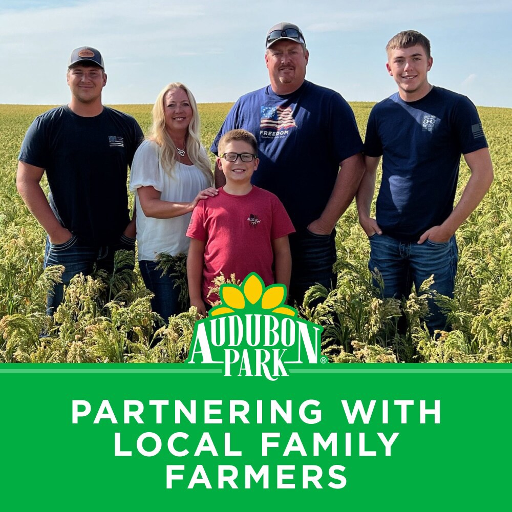 slide 5 of 6, Audubon Park® Nutty Treat Suet Wild Bird Food, 11 oz, 11 oz