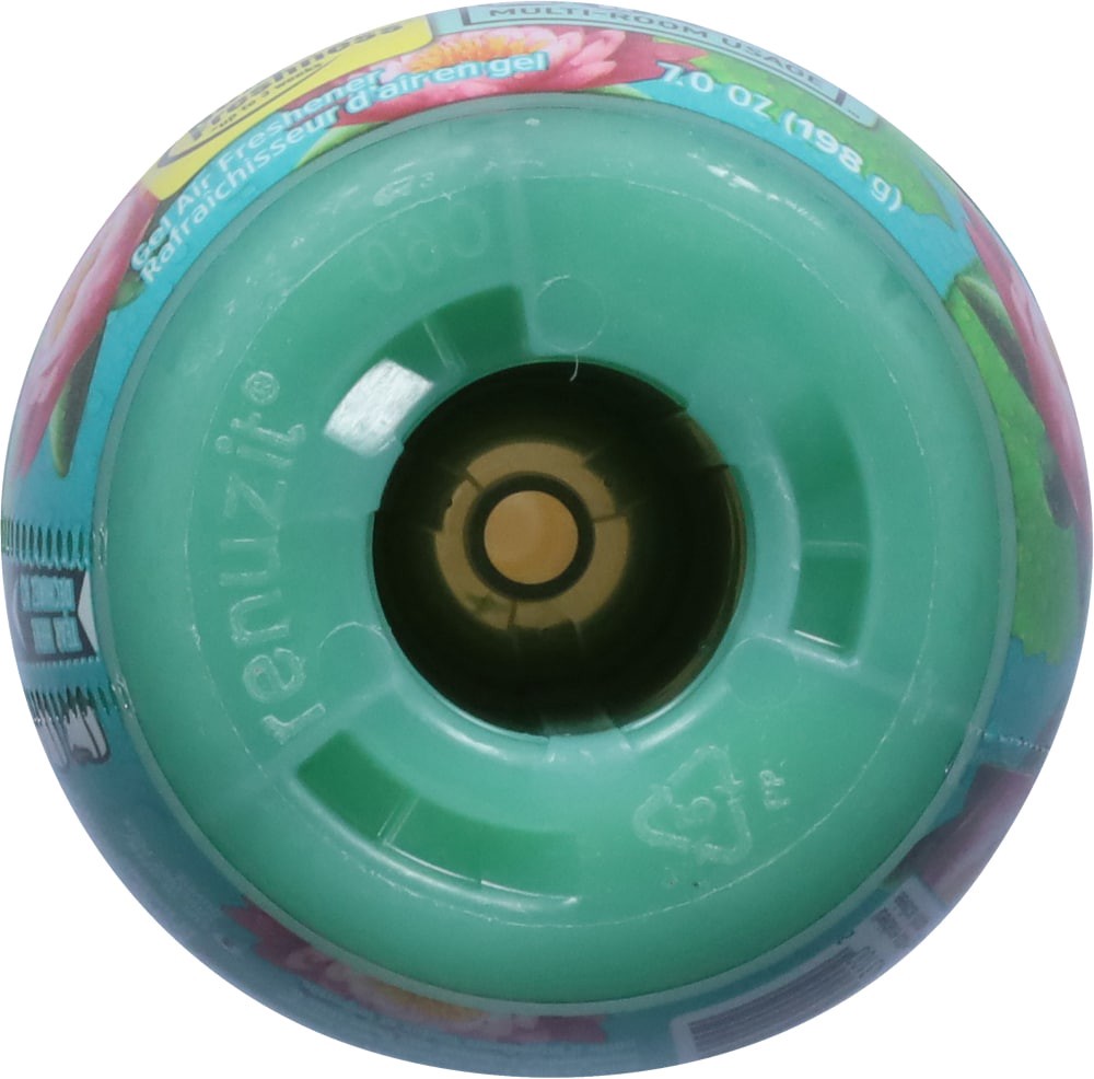 slide 5 of 6, Renuzit Adjustable After The Rain Air Freshner, 7 oz