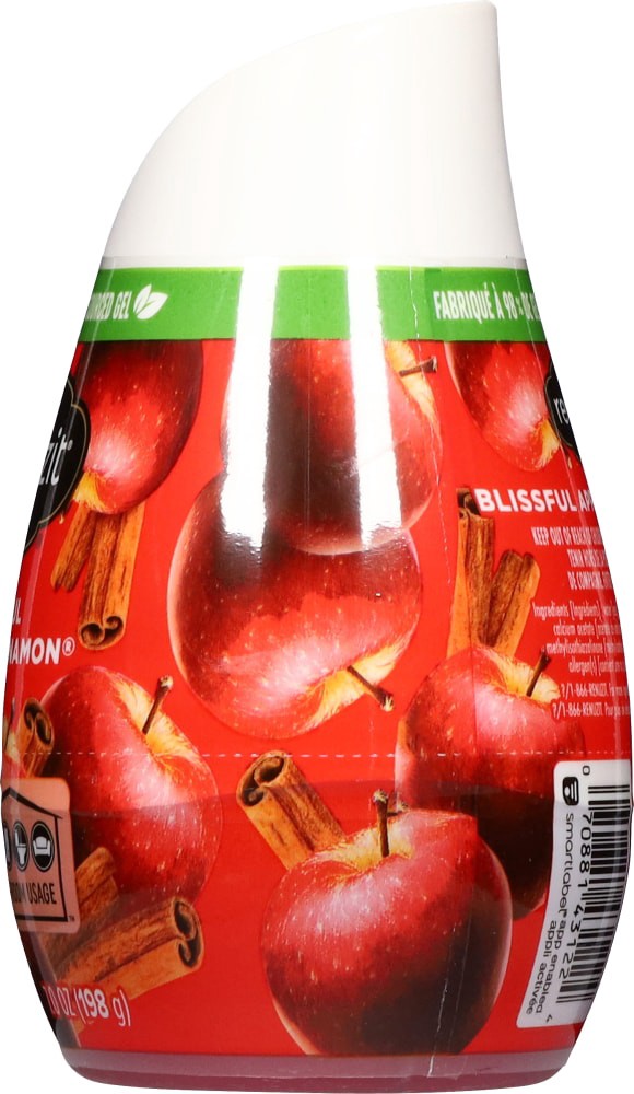 slide 4 of 4, Renuzit Apple & Cinnamon Gel Air Freshener 7.0 oz, 7 oz