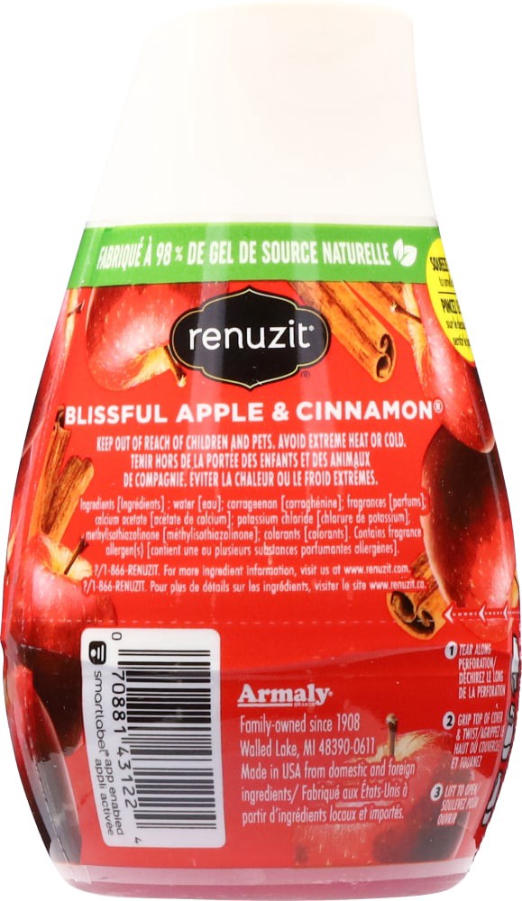 slide 2 of 4, Renuzit Apple & Cinnamon Gel Air Freshener 7.0 oz, 7 oz