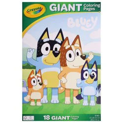 Crayola® Mess Free Barbie Color Wonder Coloring Book, 1 ct