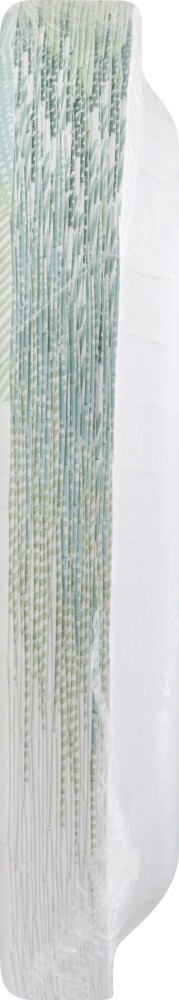 slide 3 of 3, Harris Teeter yourhome Designer Paper Plates, 24 ct