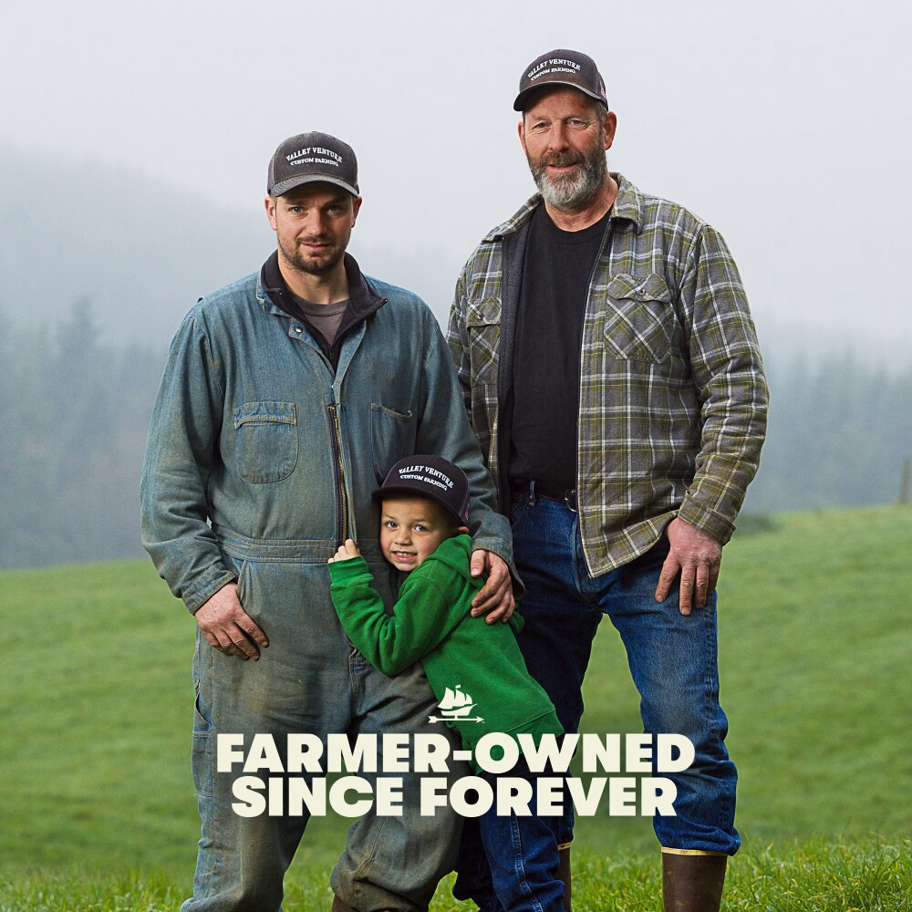 slide 3 of 4, Tillamook White Cheddar Feather Shredded Cheese 5 lb, 5 lb