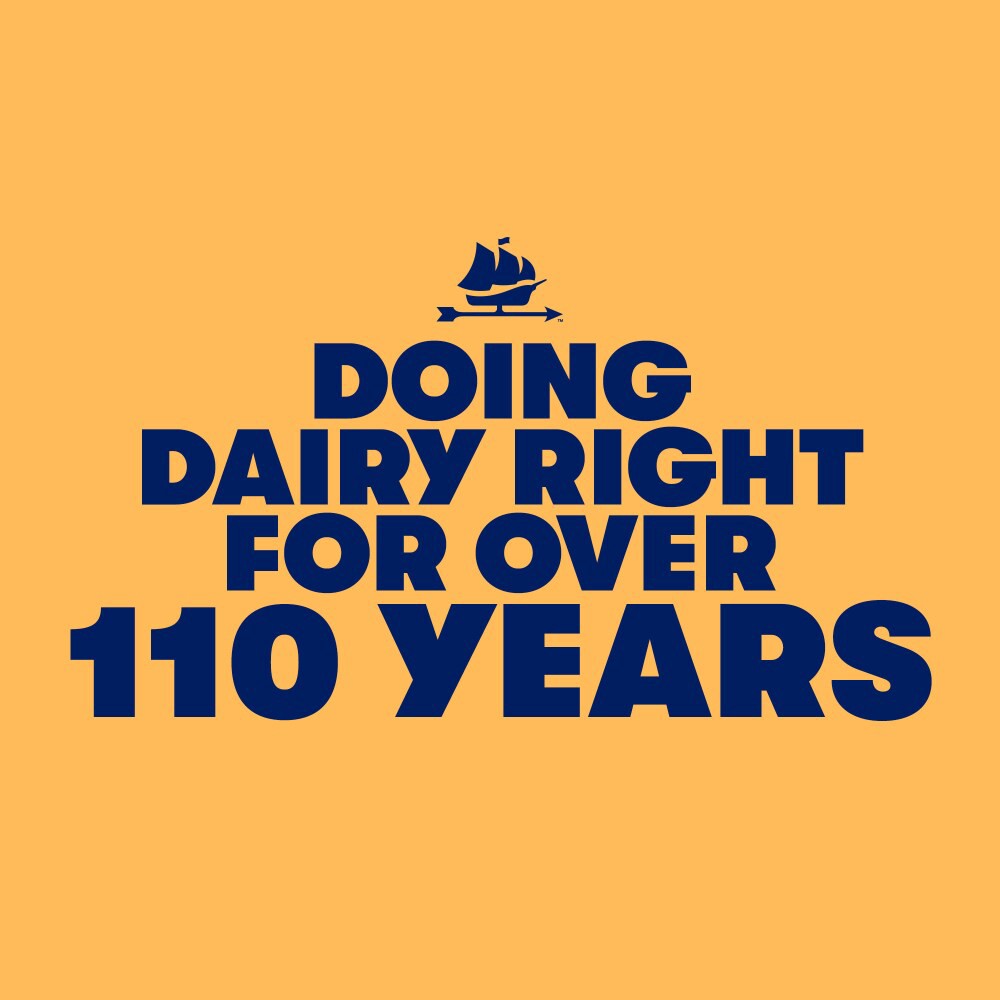 slide 4 of 4, Tillamook White Cheddar Feather Shredded Cheese 5 lb, 5 lb