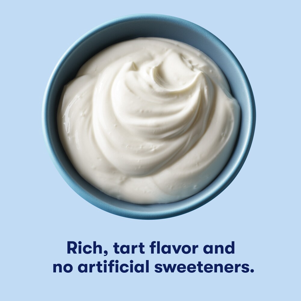 slide 3 of 6, Tillamook Plain Greek Yogurt 24 oz, 24 oz