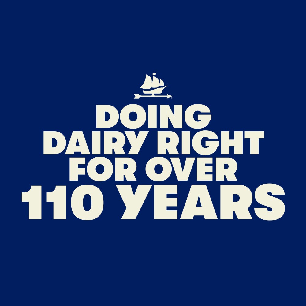 slide 2 of 6, Tillamook Farmstyle Chive & Onion Cream Cheese Spread 7 oz, 7 oz