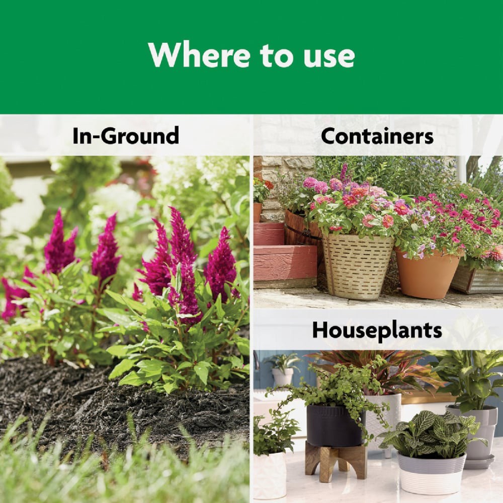 slide 5 of 6, Miracle-Gro Shake 'N Feed All Purpose Continuous Release Plant Food 4.5lb, 4.5 lb