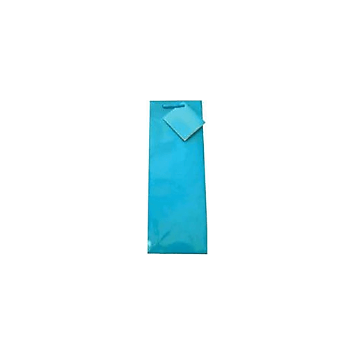 slide 1 of 1, The Gift Wrap Company Bottle Bag Turquoise, 1 ct