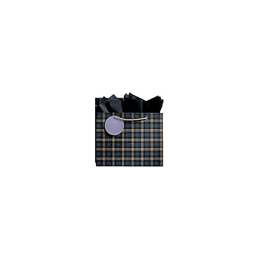 slide 1 of 1, The Gift Wrap Company Bottle Tote Medium Duffer's Plaid, 1 ct