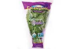 Organic Cilantro, 1 ct