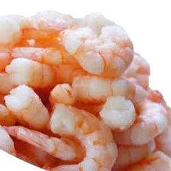 Sail Cooked Salad Shrimp