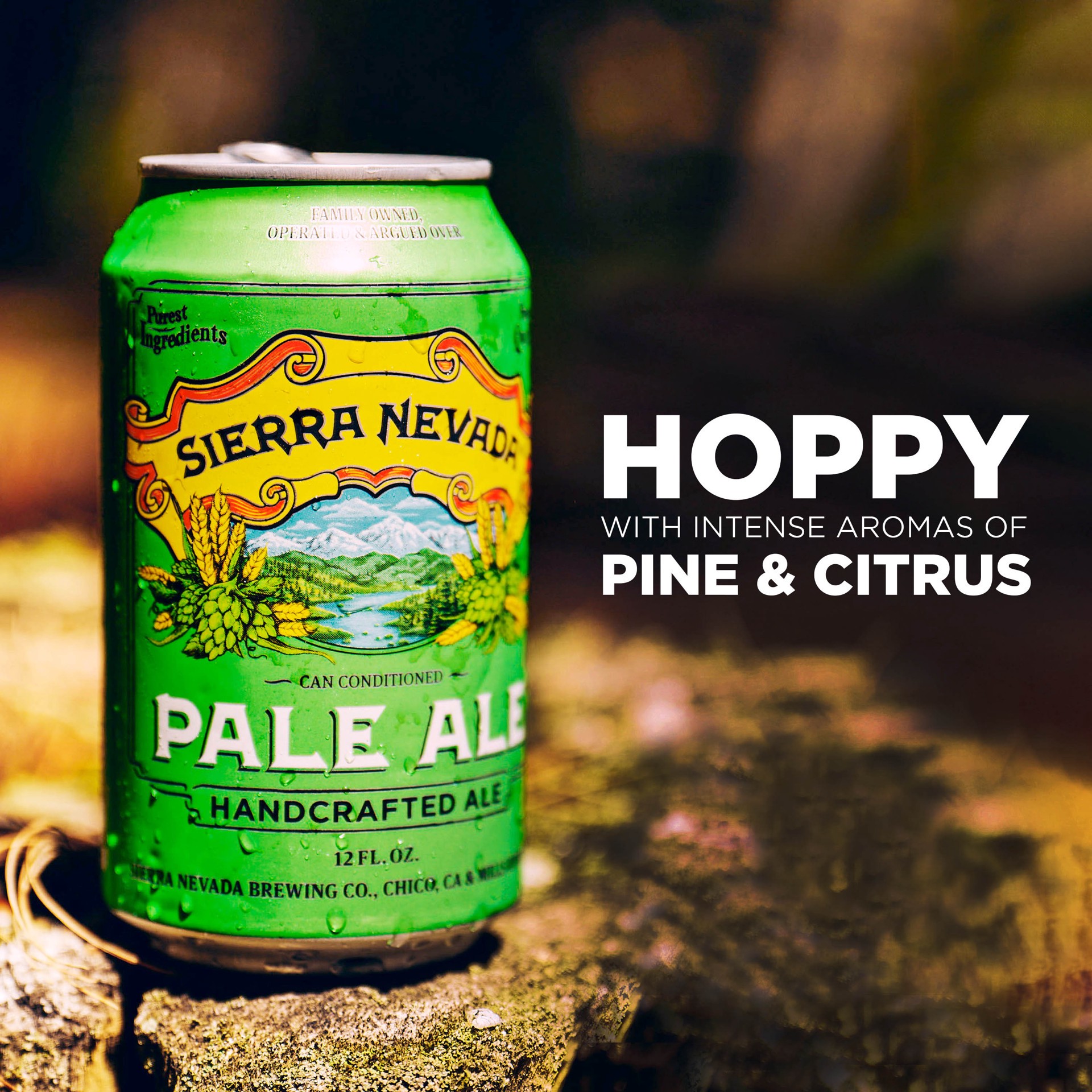 slide 2 of 5, Sierra Nevada Pale Ale 6-Pack 12oz Cans, 6 ct; 12 oz