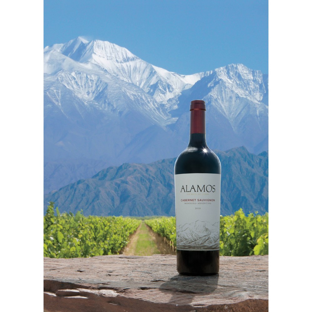 slide 2 of 4, Alamos Cabernet Sauvignon Argentina Red Wine - 750ml Bottle, 750 ml