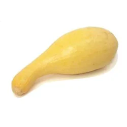 Org Yellow Squash