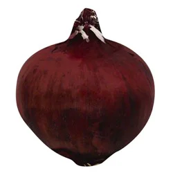 Produce Organic Red Onion