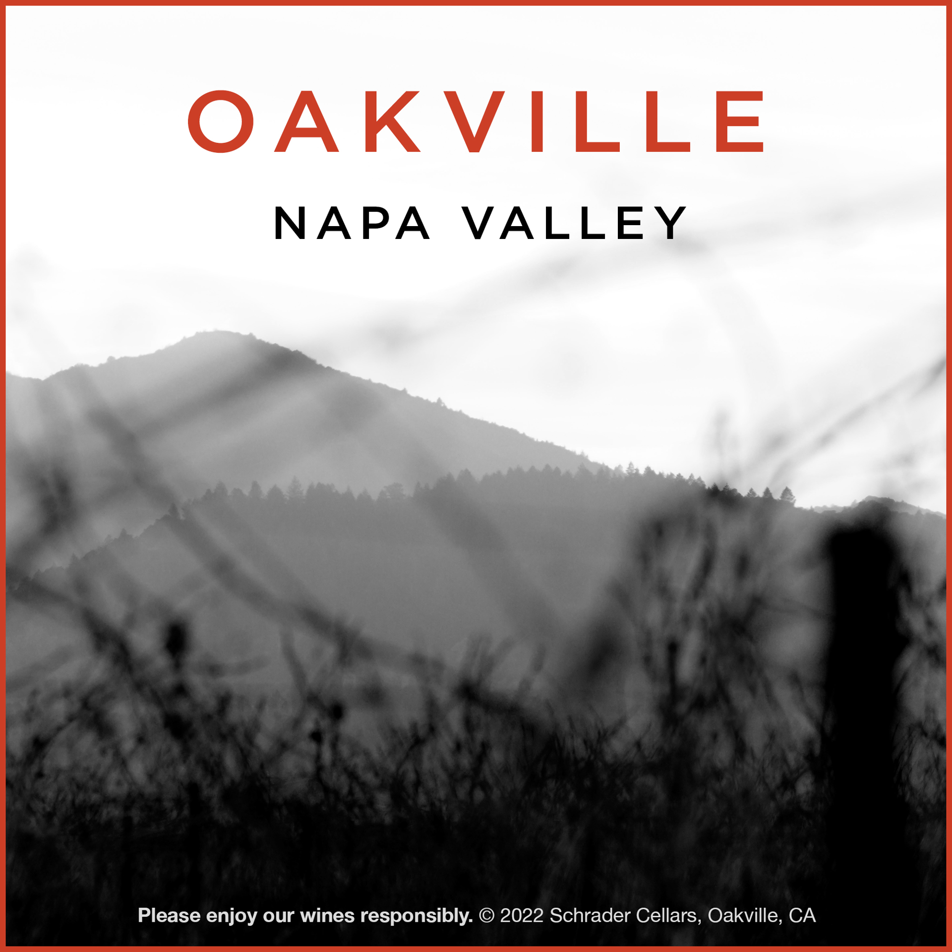 slide 8 of 9, Double Diamond Oakville Cabernet Sauvignon 2018 Red Wine, 750 mL Bottle, 25.36 fl oz