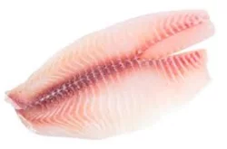 Fresh Tilapia Fillet