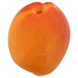 Apricots, Each