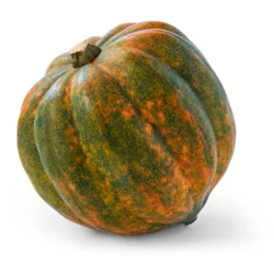 Acorn Squash, Each