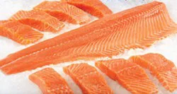 Fresh Salmon Fillets Chile