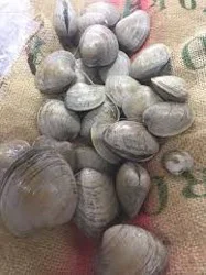 Dozen Chowder Clams 1 Dz