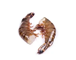 Harris Teeter Wild Caught Jumbo Shrimp