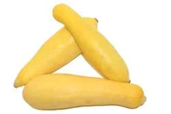 Green & Yellow Squash Combo