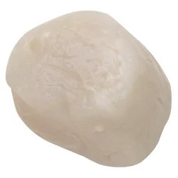 Giant Eagle Scallops, Wild Sea, Fresh, USA