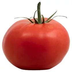 Tomatoes On The Vine