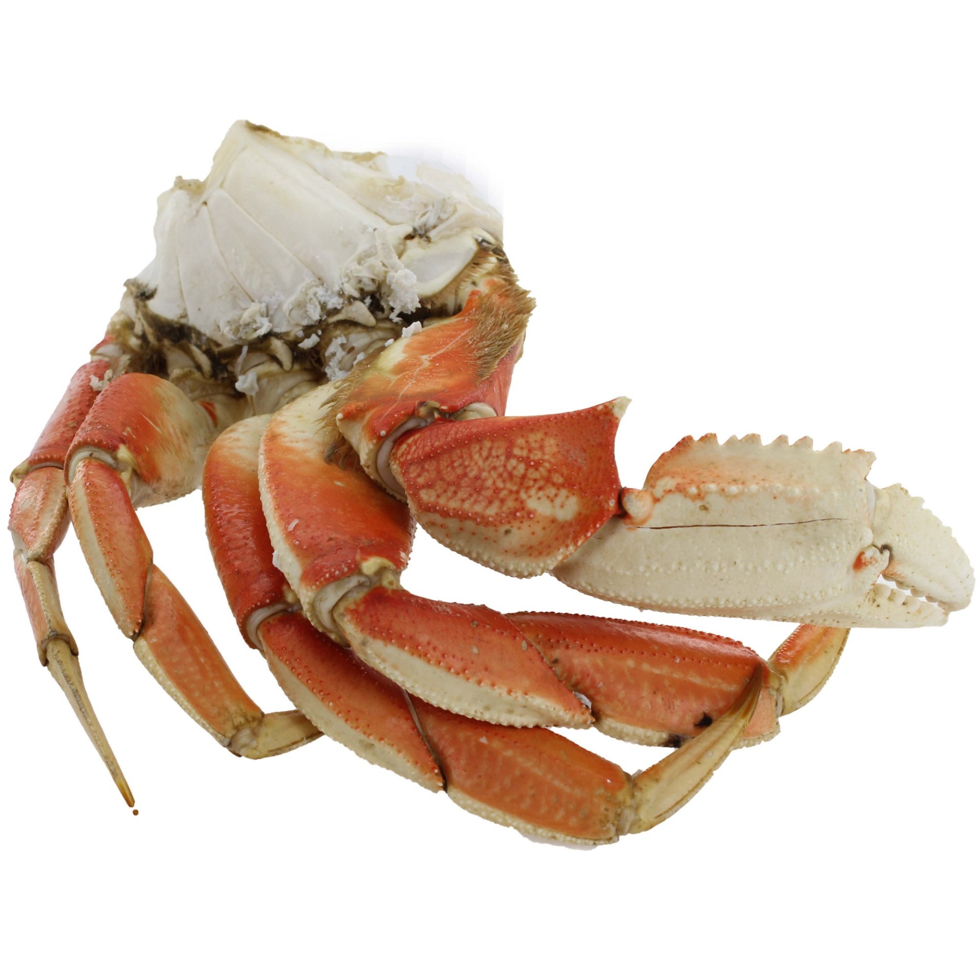 slide 1 of 1, Dungeness Crab Legs Prev Frozen, per lb