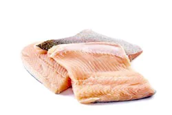Fresh Rainbow Trout Fillet