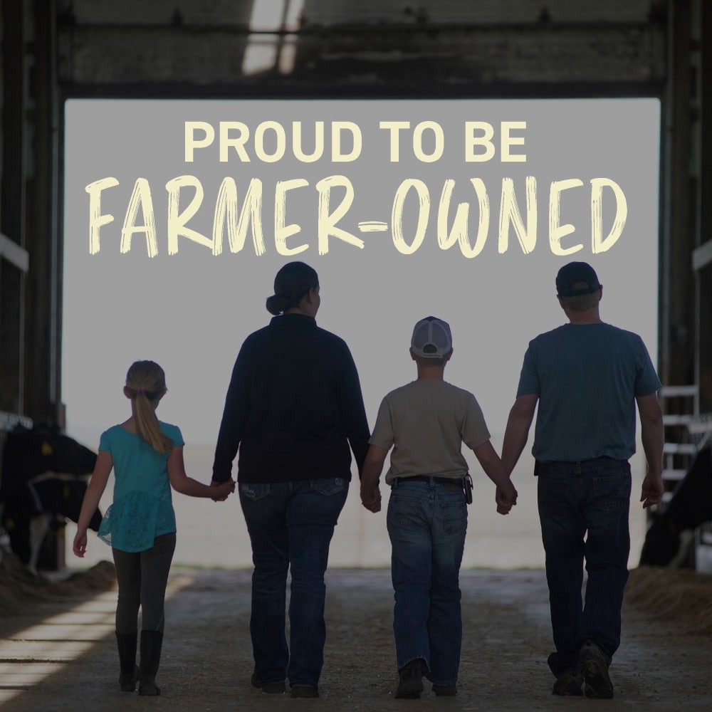 slide 4 of 6, Land O'Lakes Land O' Lakes Yellow American Cheese, per lb