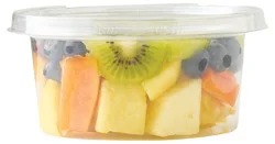 Fresh Cut Tropical Fruit Cup