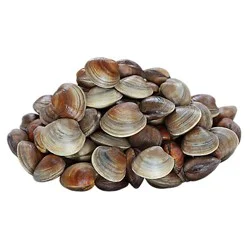 Seafood Counter Clams Littleneck Live - 1.75 LB