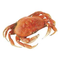 Raley's Wild-Caught Frozen Cooked Dungeness Pacific Whole Crab, Each Per Pound