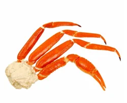 Snow Snow Crab Cluster Fz
