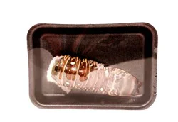 Lobster Tail 4oz 1/10#