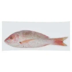 Giant Eagle Snapper, Wild Caught Yellowtail, Whole